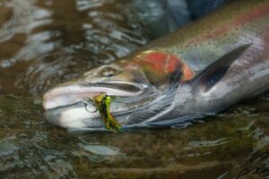 PERE MARQUETTE RIVER STEELHEAD SWING TRIPS