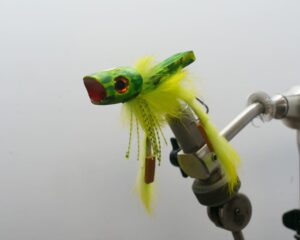 Hoppy Gilmore | Frog Pattern